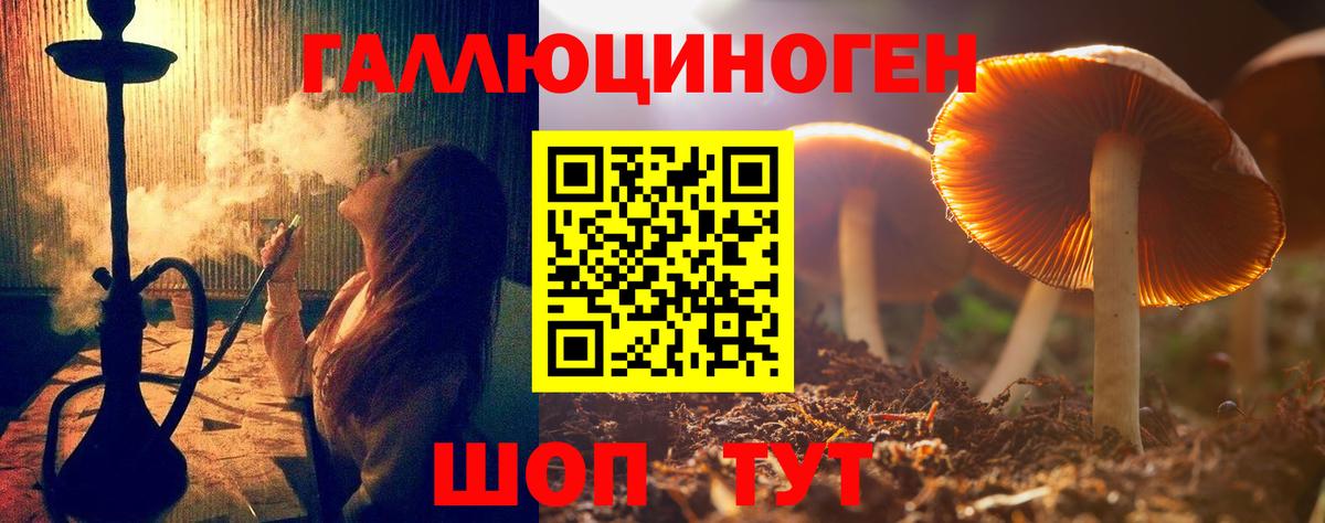 Галлюциногенные грибы Psilocybe  Вход с VPN  Псилоцибиновые грибы ЛСД  Электрогорск 