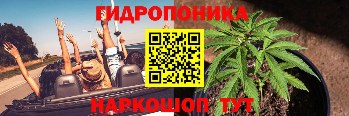 Бошки марихуана AK-47  Вход с VPN  Канабис семена  Электрогорск  Конопля White Widow 